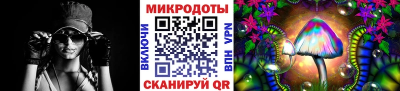 купить закладку  Чекалин  Псилоцибиновые грибы мухоморы 